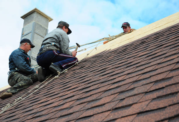 Best Local Roofing Companies  in Redfield, AR